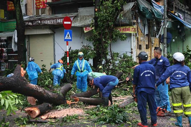 Hà Nội tập trung lực lượng thu dọn, khôi phục cây xanh gãy đổ do bão số 3 - Ảnh 2.